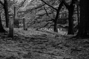 Boston: excursão particular mal-assombrada após o anoitecer