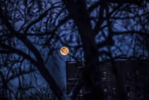Boston: excursão particular mal-assombrada após o anoitecer