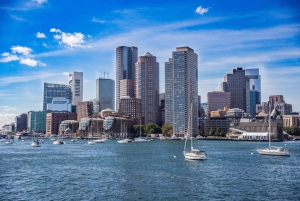 Tour panoramico privato di Boston con autista al giorno