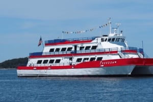 Boston: Scenic Harbor Cruise (Dog-Friendly)