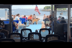 Boston: Scenic Harbor Cruise (Dog-Friendly)