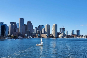 Boston: Scenic Harbor Cruise (Dog-Friendly)