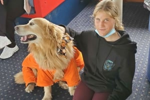 Boston: Scenic Harbor Cruise (Dog-Friendly)