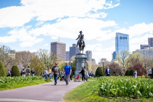 Boston : Journée fruits de mer, histoire et curiosités