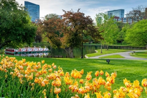 Boston: Back Bay Kleingruppentour zur Geschichte