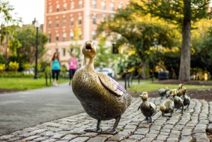 Boston: Back Bay Wandeltour in kleine groep Geschiedenis