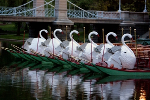 Boston: Top 10 Freedom Trail & 'Cheers' Guided Walking Tour