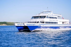 Boston : croisière d'observation des baleines en catamaran