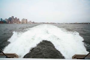 Boston : croisière d'observation des baleines en catamaran