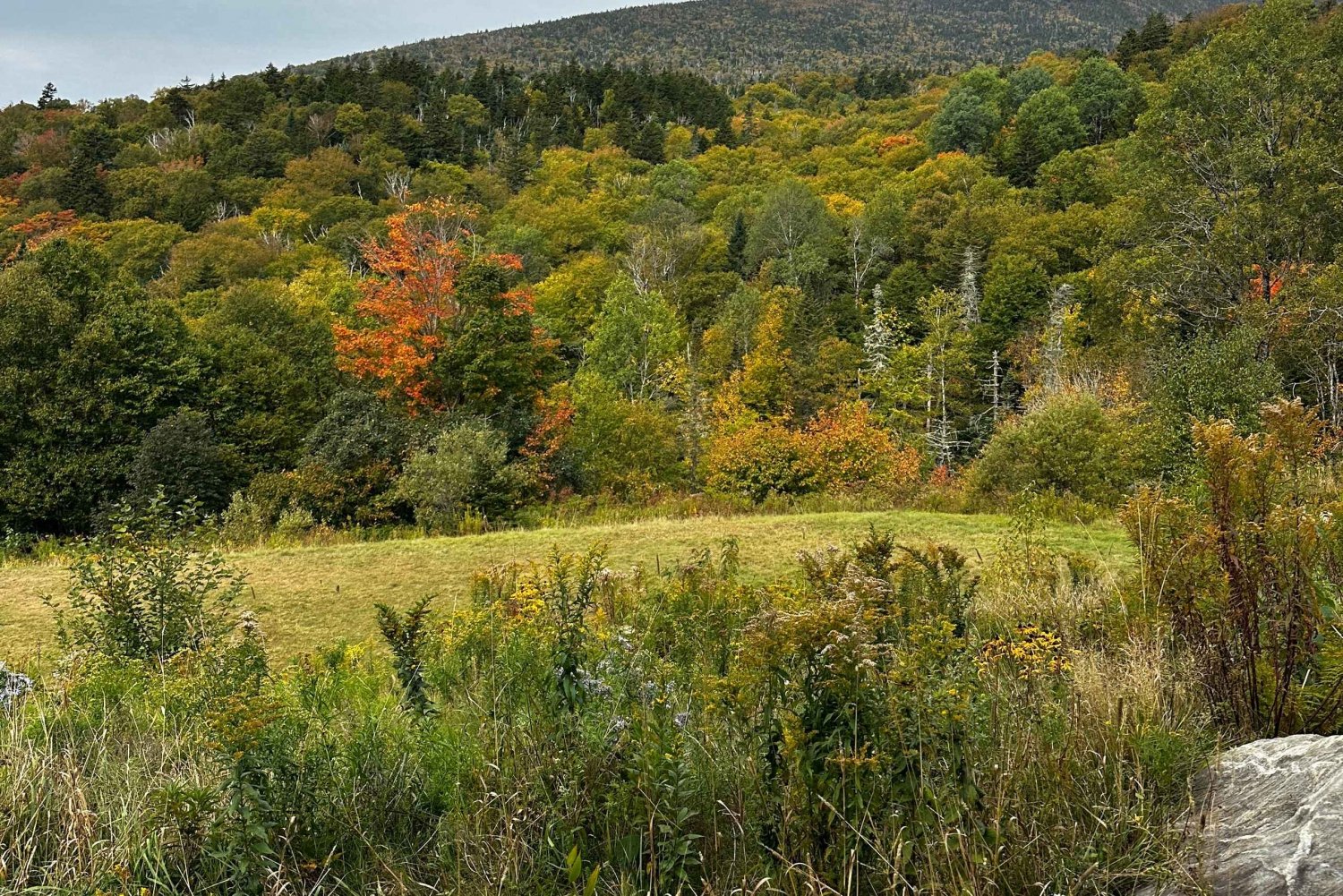 Boston: Caminhada de 4.000 pés nas Montanhas Brancas - Monte Moosilauke