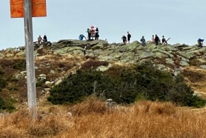 Boston: White Mountains 4.000-Fuß-Wanderung - Mount Moosilauke