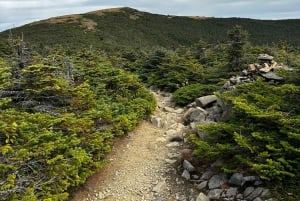 Boston : Randonnée dans les Montagnes Blanches - Mont Moosilauke