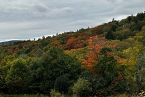 Boston: White Mountains 4.000 voet wandeling - Mount Moosilauke