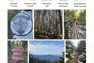 Boston: White Mountains 4,000-Footer Hike - Mount Moosilauke