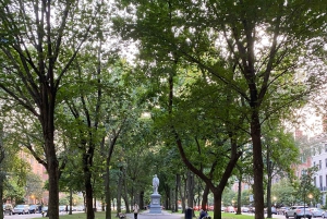 Boston's Back Bay: Private Guided Walking Tour