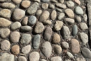 Boston's Beacon Hill: Walking Tour