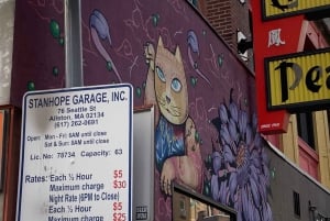 Chinatown di Boston: tour a piedi per piccoli gruppi