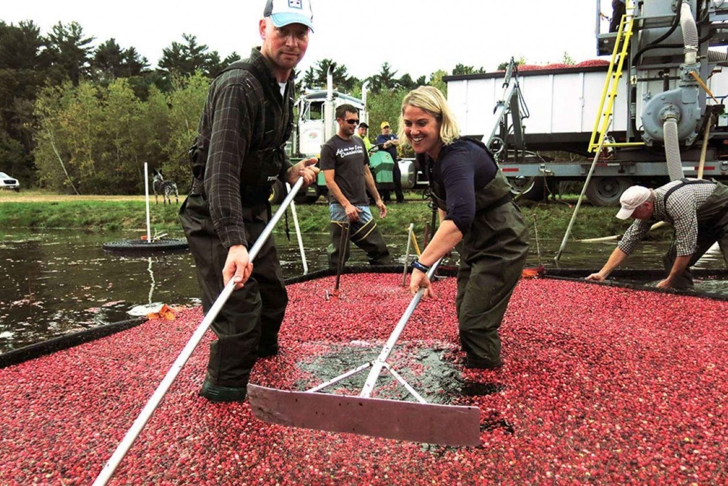 Rajoitettu aika: Cranberry Bogger yhden päivän kokemus