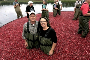 Tempo limitato: Esperienza di Cranberry Bogger per un giorno