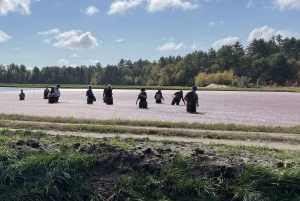 Begränsad tid: Cranberry Bogger för en dag-upplevelse