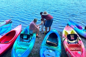 Excursión de un día desde Boston: Excursión guiada en Kayak/ SUP en Rockport, MA