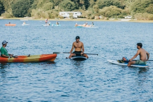 Excursión de un día desde Boston: Excursión guiada en Kayak/ SUP en Rockport, MA