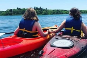 Excursión de un día desde Boston: Excursión guiada en Kayak/ SUP en Rockport, MA