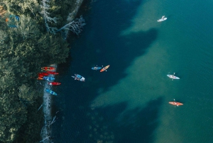 Excursión de un día desde Boston: Excursión guiada en Kayak/ SUP en Rockport, MA
