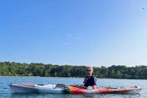 Excursión de un día desde Boston: Excursión guiada en Kayak/ SUP en Rockport, MA