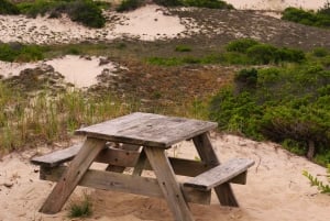 Au départ de Boston : Excursion d'une journée à Cape Cod et Plymouth