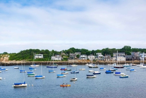 Excursión de un día desde Boston: Excursión guiada en Kayak/ SUP en Rockport, MA