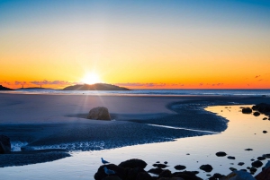 US East Coast: Fall Highlights Self-Guided Audio Tour w/ App