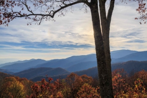 US East Coast: Fall Highlights Self-Guided Audio Tour w/ App