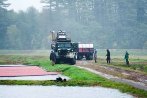 Rundvisning på en lokal tranebærfarm med transport fra Boston