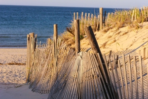 Au départ de Boston : Excursion d'une journée à Cape Cod et Plymouth