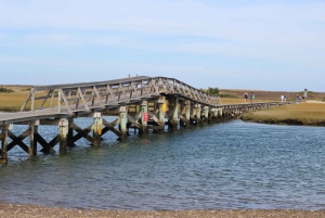 Au départ de Boston : Excursion d'une journée à Cape Cod et Plymouth