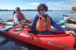Viagem de um dia a partir de Boston: Passeio de caiaque pelo porto de Gloucester