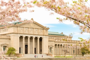 Fra Chicago: Federal Building, kulmine og mere 1-dags guidet tur