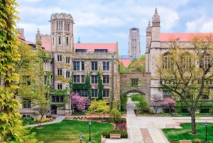 Fra Chicago: Federal Building, kulmine og mere 1-dags guidet tur
