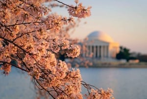 Au départ de NYC : Excursion de 4 jours aux chutes du Niagara, à Washington DC et à Boston