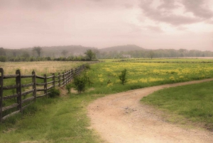 Ghostly Journey Self-Guided Walking & Driving Bundle Tour