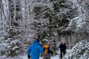 Avventura invernale guidata con le ciaspole da Boston