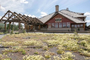 Majoitus Old Faithful Yellowstone & Grand Teton 4 päivän retkellä