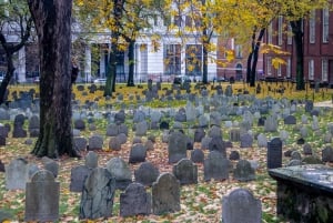 Massachusetts Self-Guided Driving and Walking Tours Bundle