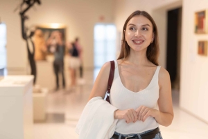 Tour guidato privato con ingresso prioritario al Museum of Fine Arts di Boston