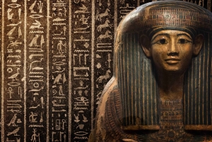 Tour guidato privato con ingresso prioritario al Museum of Fine Arts di Boston