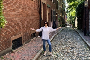 Oud Boston: Wandeltour Beacon Hill & Back Bay in het Frans