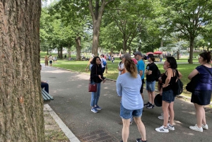 Boston antiga: Excursão a pé por Beacon Hill e Back Bay em francês