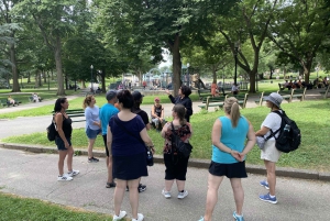 Det gamle Boston: Beacon Hill & Back Bay Byvandring på fransk