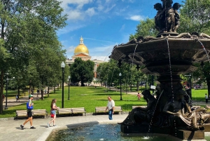 Old Boston: Beacon Hill & Back Bay Walking Tour in French